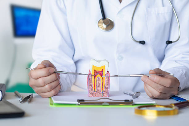 Best Emergency Treatment for Dental Infections or Abscesses in Vilge St George, LA